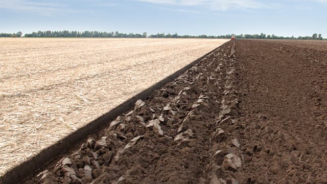 Avantages agronomiques