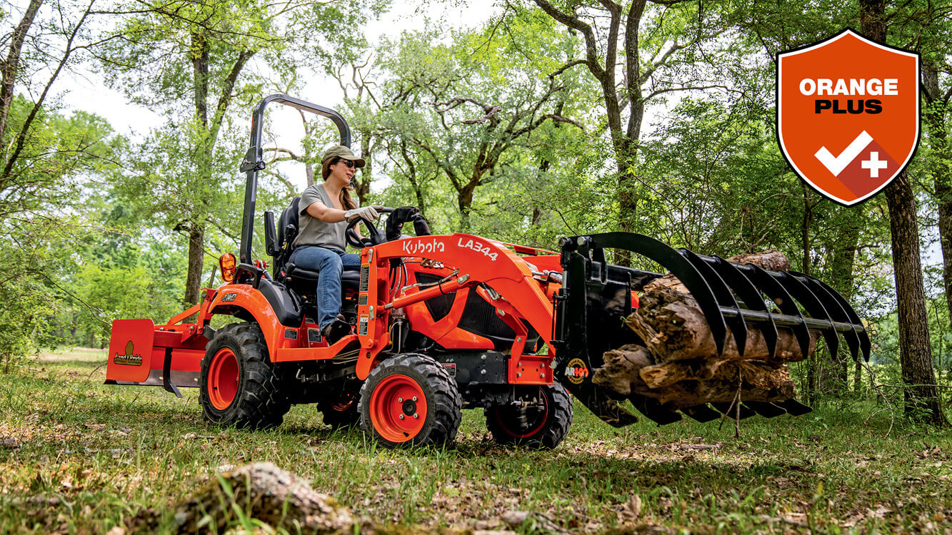 Dual functionality loader