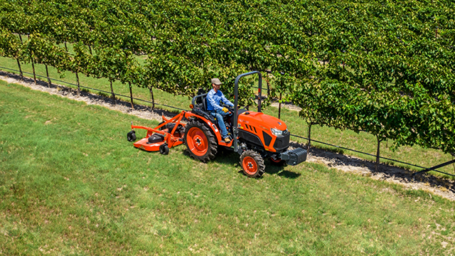 Sleek and formidable