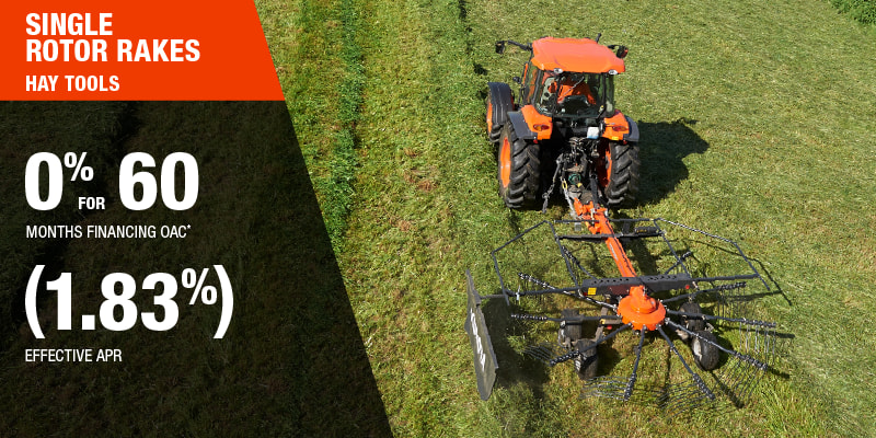 Single-Rotor-Rake